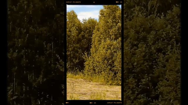 Летний ритм