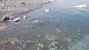 Монголия рыбалка. Озеро Хяргас-Нуур