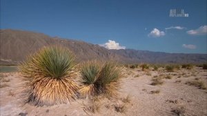 Неизведанная Мексика 🇲🇽 Дикая природа