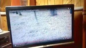 Собака кусает, если ей что то не нравится. Как с этим бороться?