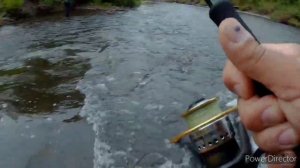 Рыбалка в Хакасии! Хариус, Ленок. Вечерняя рыбалка возле дома.