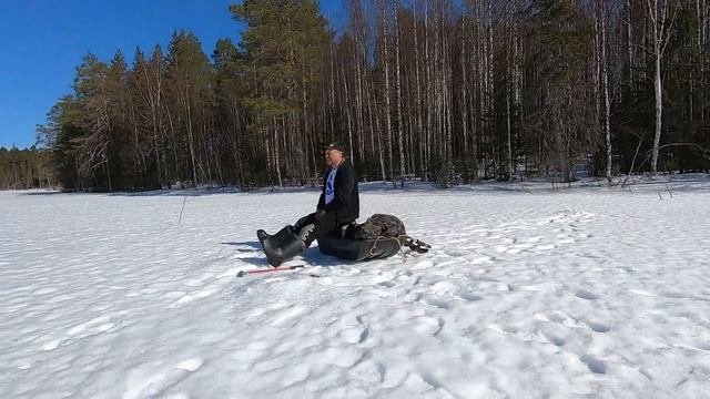 Таежные приключения / В поисках трофея на Севере / Ловля окуня на таежном озере