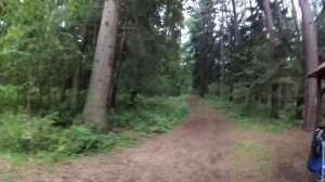 Поездка на Куршскую косу. Высота Мюллера, Танцующий лес, высота Эфа