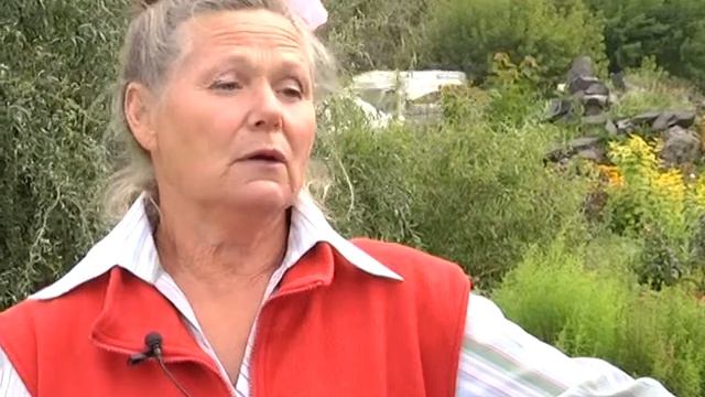 Рубрика "ЗаДачник": декоративные бобы смотреть онлайн