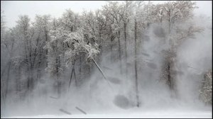 Ночная метель. Воющий ветер и звуки вьюги для сна. Зимняя атмосфера