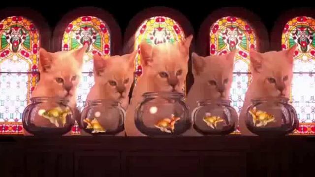 30 января 2016 г. смотреть онлайн