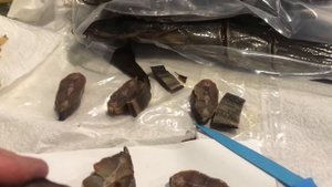 Аква?Пром® : Дегустация Клариевого Сома Хол.Копчения