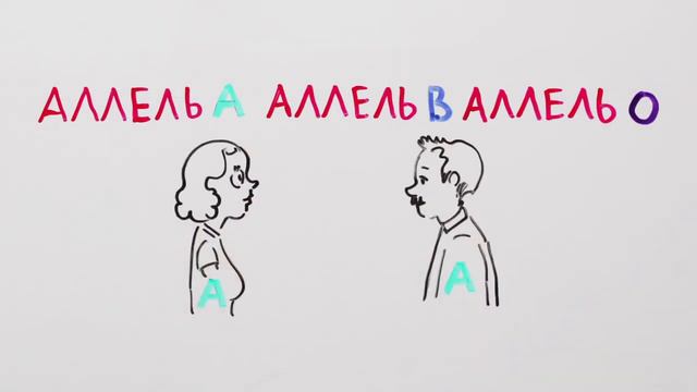 Чем отличаются группы крови — Научпок смотреть онлайн