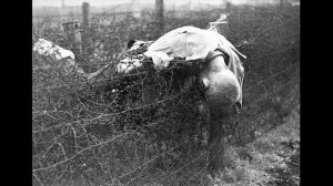 КОММУНИЗМ и ФАШИЗМ. Чем похожи коммунизм и нацизм, Сталин и Гитлер? между социализмом и фашизмом?