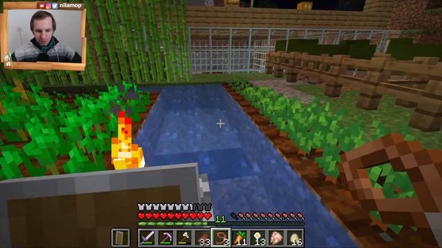 ЗАВЕЛ СЕБЕ ЦЕЛЫХ ЧЕТЫРЕ УШАСТИКА? В МАЙНКРАФТ | MINECRAFT #71 смотреть онлайн