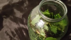 Масло из листьев березы. Рецепт.