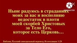 14 августа. Радоваться в страданиях. День за днем..