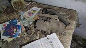 Заброшенная деревня Тульской области. Два жилых дома, а остальные все покинуты. Что я увидел на фот