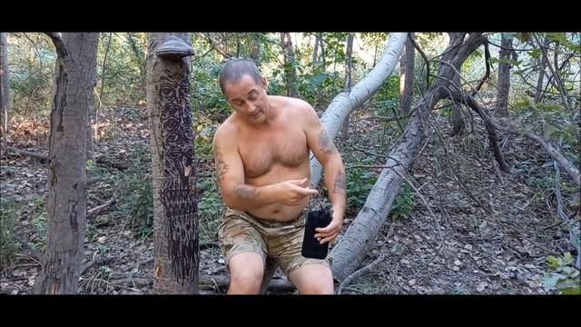 Мечтания и метания