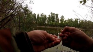 КРУПНЫЙ КАРАСЬ НА ПЕРЛОВКУ