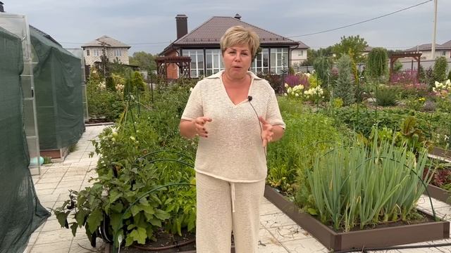 НЕ ПРОПУСТИТЕ! ГЛАВНОЕ О ФИТОФТОРОЗЕ!
