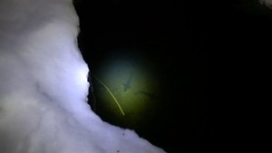 Осётр в пруду зимой.