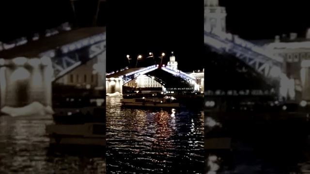 Развод Дворцового моста