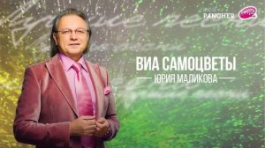 ВИА Самоцветы Юрия Маликова - Всё, что в жизни есть у меня (аудио)