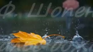 Вальс дождя - Ф Шопен