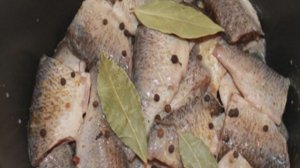 Консервы из речной рыбы в мультиварке