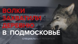 ВОЛКИ ЗАХВАТИ ДЕРЕВНЮ В ПОДМОСКОВЬЕ - Специальный репортаж