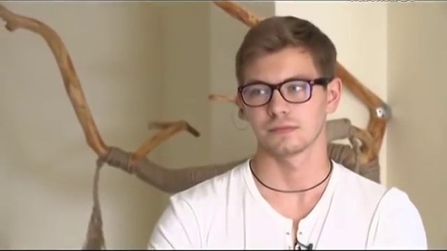 «Формула качества»: Выбираем котят сфинксов смотреть онлайн