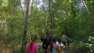 Что может быть прекрасней и чудесней