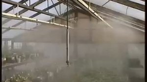 Туманообразование в теплице
