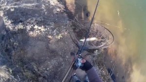 Ловля щуки с Maximus Manic 20ML