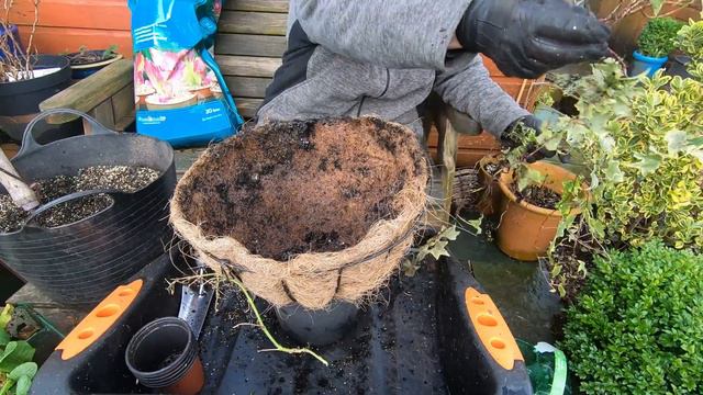 #84 Creating colourful winter hanging baskets смотреть онлайн