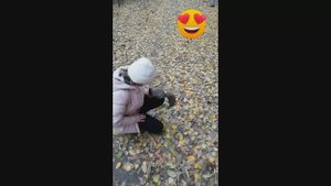 Наглость - второе счастье.mp4