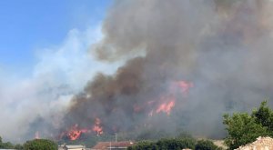 «Едкий дым и невыносимая жара»: что ждет российских туристов из-за пожаров в Турции