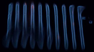 Газогорелочные устройства "Вега". Атмосферная и секционная горелка "Polidoro"