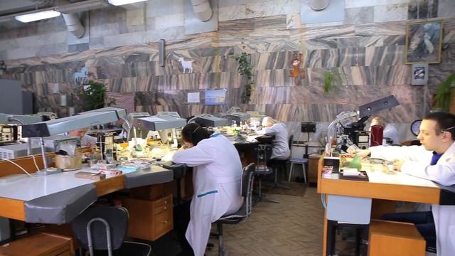 ОТВЕЧАЙКА. "ЛУЧ. Как делают наручные часы" смотреть онлайн