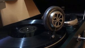 Мембрана для патефона из динамика