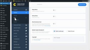 New Theme Options at Consulting Theme