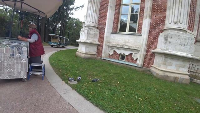 Утиные истории и беличьи хвосты смотреть онлайн