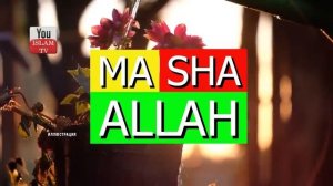 ЧТО ОЗНАЧАЕТ ФРАЗА МА ША АЛЛАХ? Даже Богатый Человек из за Этого Потерял Все Свое Состояние!