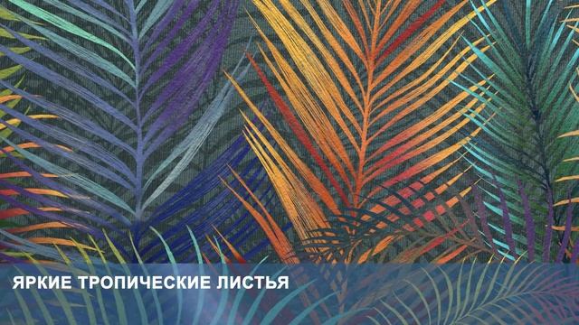 3D Фотообои «Яркие тропические листья» смотреть онлайн