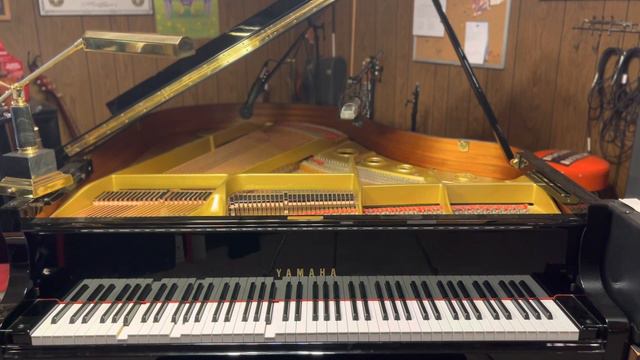 Murders by Miracle Musical | Player Piano Arrangement смотреть онлайн