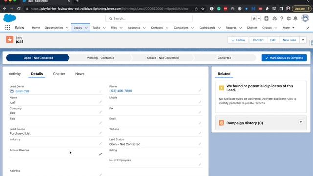 How to Convert a Lead in Salesforce | Convert into account contact opportunity | User Training