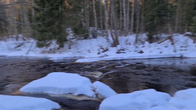 Линдуловская роща зимой. Экотропа. Ленобласть