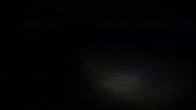 Притравки Волкодавов. Питомник Волкодавы 05.