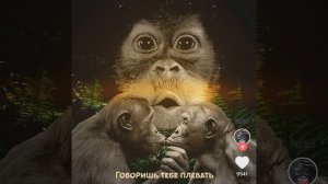 Говоришь тебе плевать