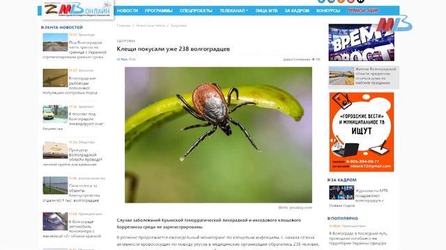 Приговор матери Прохора Шаляпина, турнир Слесаренко и косуля в центре Михайловки | ДАЙДЖЕСТ смотреть онлайн