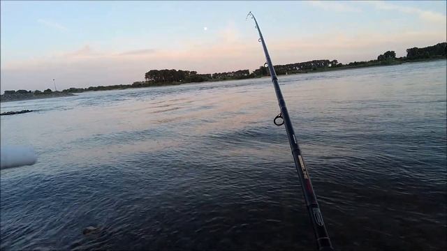 Рыбалка в Голландии отдых Судачок Лещи смотреть онлайн