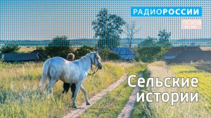 Сельские истории. Выпуск 14.10.2019