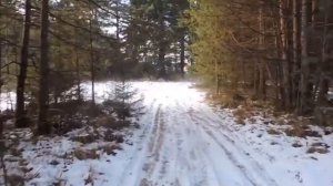 Футаж ЗИМНЯЯ ДОРОГА В ЛЕСУ.