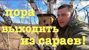 #46. Сделали выгул для птицы. [Жизнь на своей земле]